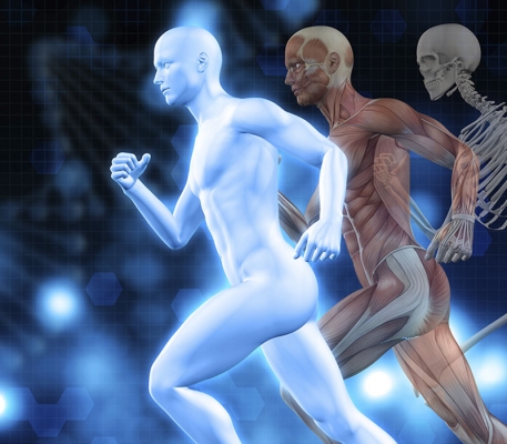 Fisiologia do Exercício